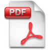 Download The translation Process